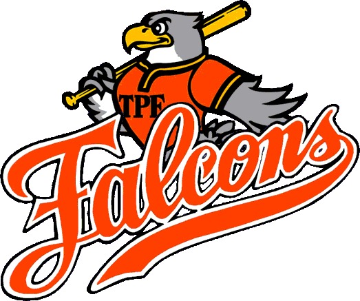 ASD Torre Pedrera Falcons